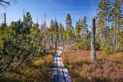 Gemeinde Lindberg Landkreis Regen Bohlenweg Schachtenwanderung (Dirschl Johann) Deutschland REG